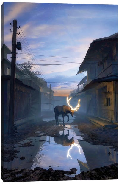Reflection Canvas Art Print - Moose Art