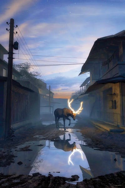 Moose: Reflection by Cynthia Decker
