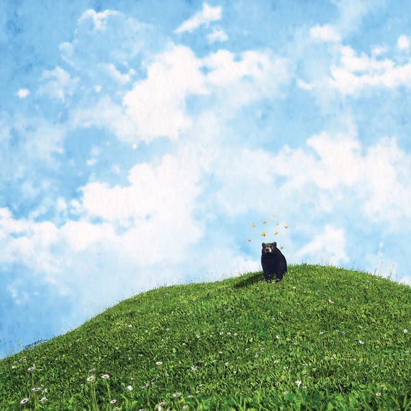 Hillsides: A Nice Day by Cynthia Decker