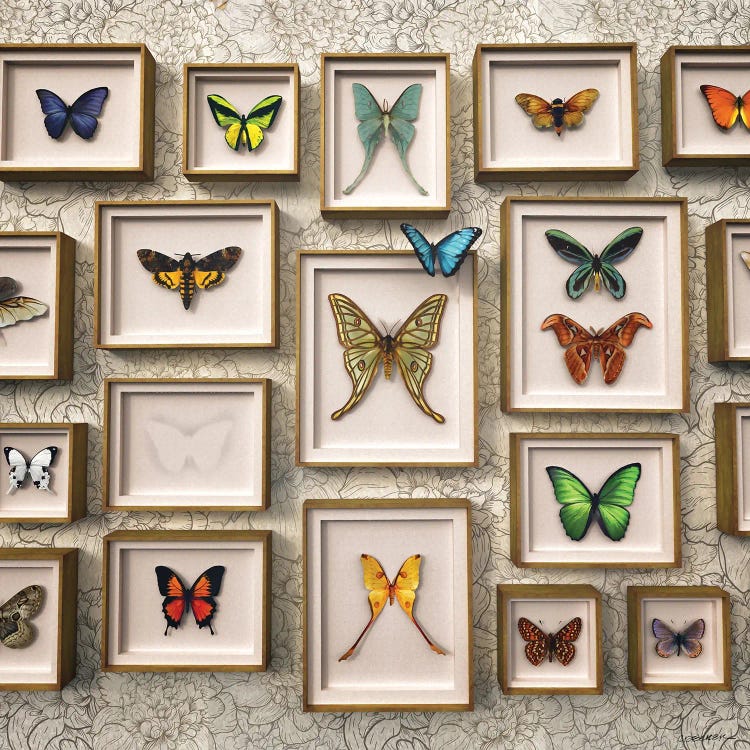 The One That Got Away by Cynthia Decker wall art