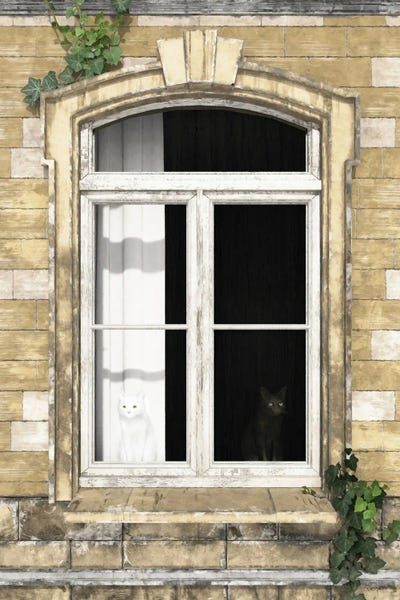 Windows: Inconspicuous by Cynthia Decker
