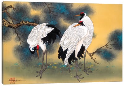 Morning Cranes Canvas Art Print - Crane Art