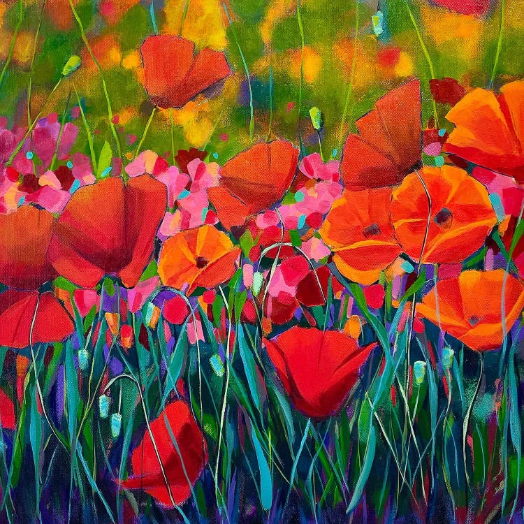 Poppies At Sunset by Cindy Kaufman wall art