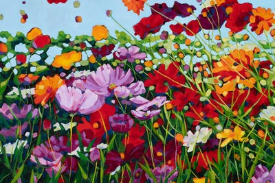 Reach For The Sun by Cindy Kaufman framed canvas print