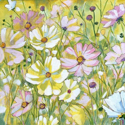 Sun Drenched Cosmos by Cindy Kaufman framed canvas print