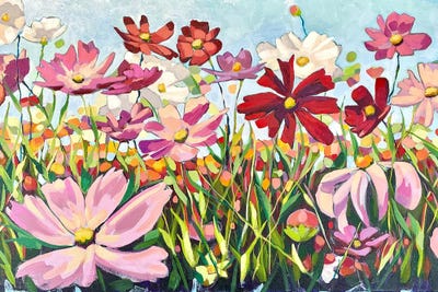 Cosmos In The Sun by Cindy Kaufman framed canvas print