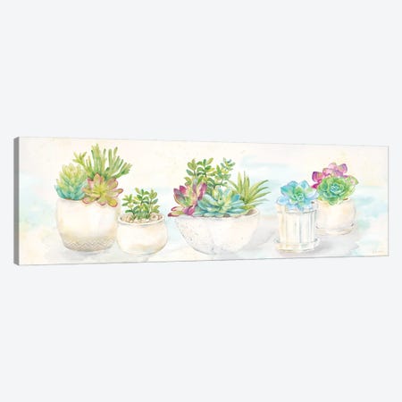 Sweet Succulents Panel Canvas Print #CYN104} by Cynthia Coulter Canvas Art Print