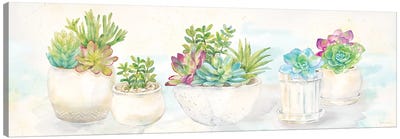 Sweet Succulents Panel Canvas Art Print - Succulent Art