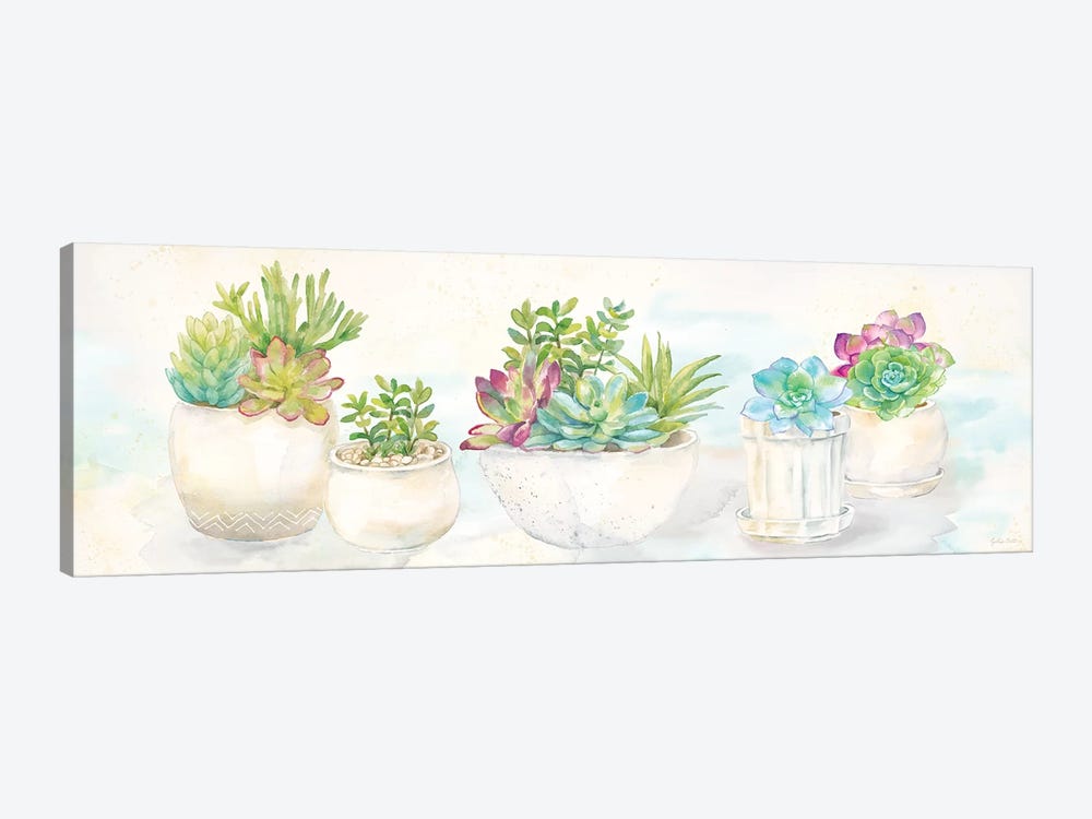 Sweet Succulents Panel by Cynthia Coulter 1-piece Canvas Print