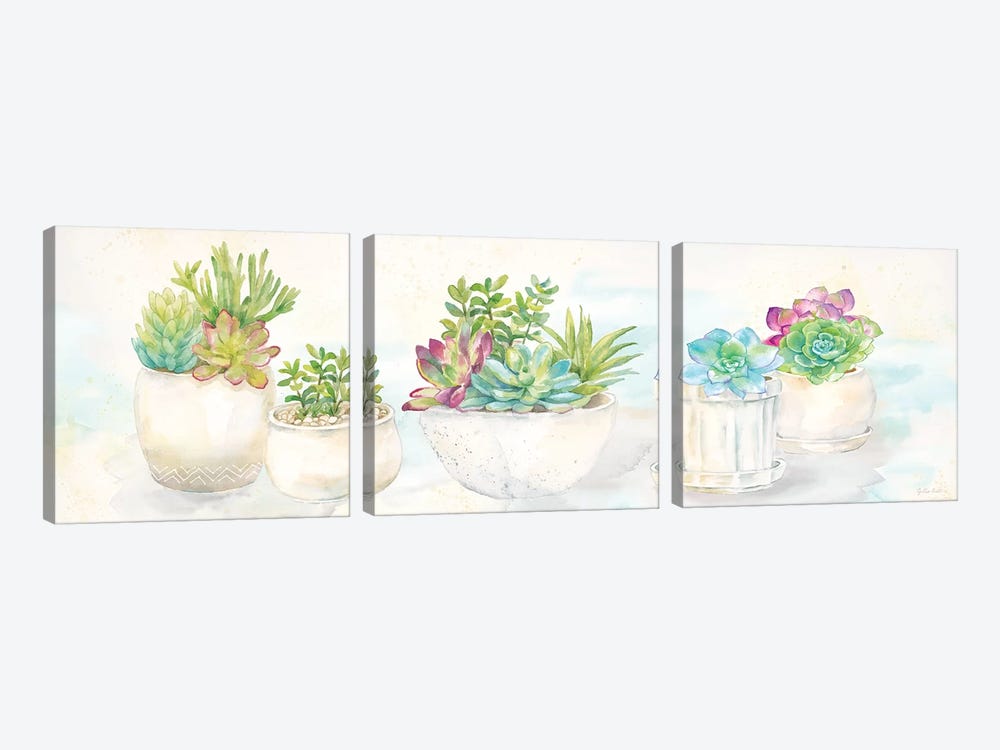 Sweet Succulents Panel by Cynthia Coulter 3-piece Canvas Art Print