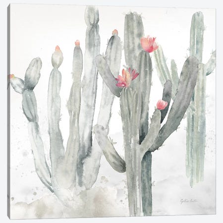Cactus Garden Gray Blush II Canvas Print #CYN10} by Cynthia Coulter Canvas Art Print