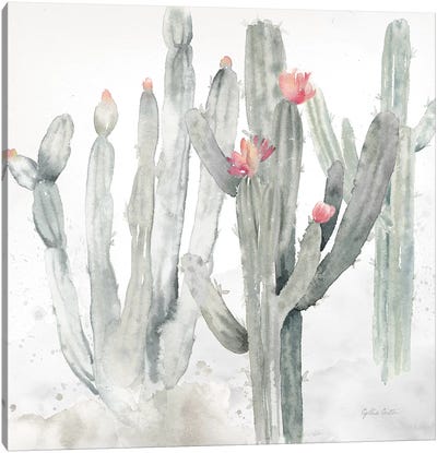 Cactus Garden Gray Blush II Canvas Art Print - Gray & Pink Art
