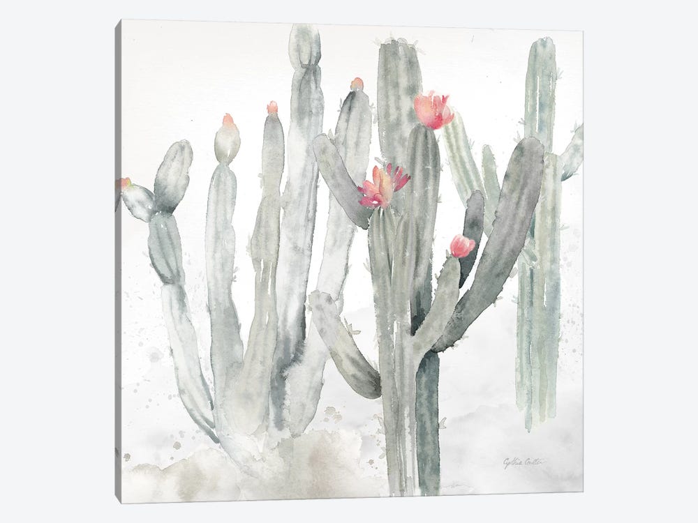 Cactus Garden Gray Blush II by Cynthia Coulter 1-piece Canvas Art