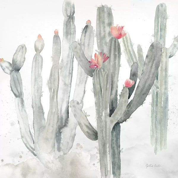 Succulents: Cactus Garden Gray Blush II by Cynthia Coulter