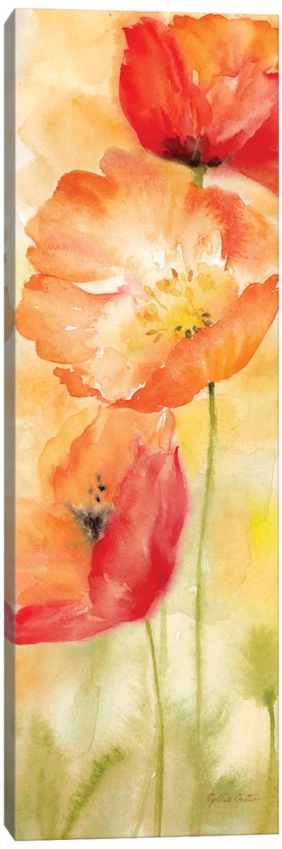 Watercolor Poppy Meadow Spice Panel II Canvas Art Print - Poppy Art