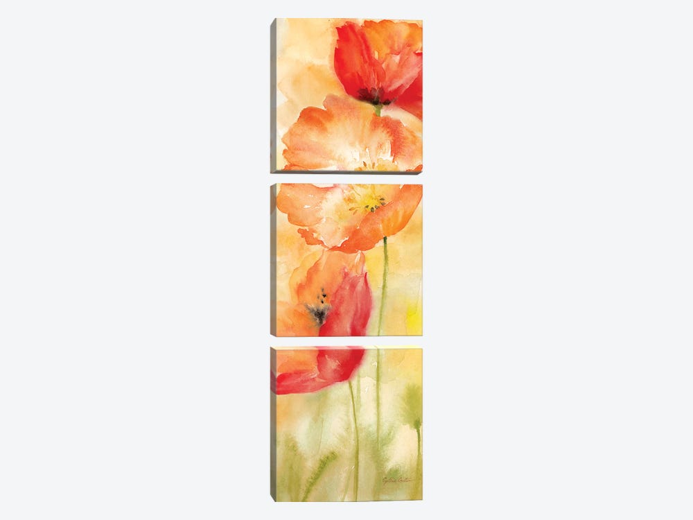 Watercolor Poppy Meadow Spice Panel II by Cynthia Coulter 3-piece Canvas Wall Art