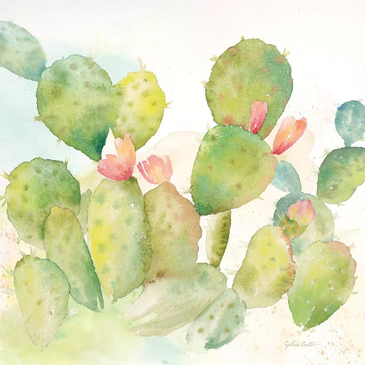 Cactus Garden I by Cynthia Coulter wall art