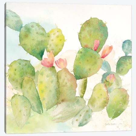 Cactus Garden I Canvas Print #CYN12} by Cynthia Coulter Art Print