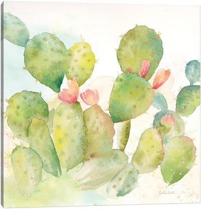 Cactus Garden I Canvas Art Print