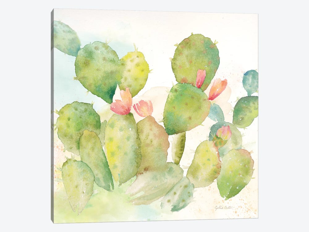 Cactus Garden I by Cynthia Coulter 1-piece Canvas Art