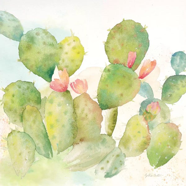 Southwest Décor: Cactus Garden I by Cynthia Coulter