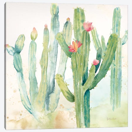 Cactus Garden II Canvas Print #CYN13} by Cynthia Coulter Canvas Art Print