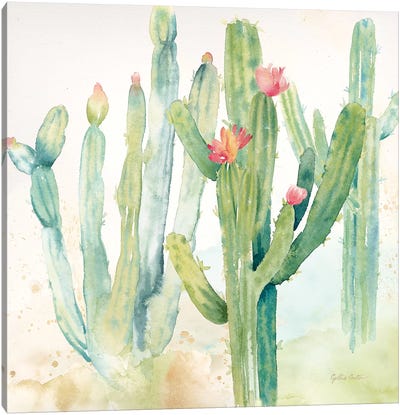 Cactus Garden II Canvas Art Print - Succulent Art