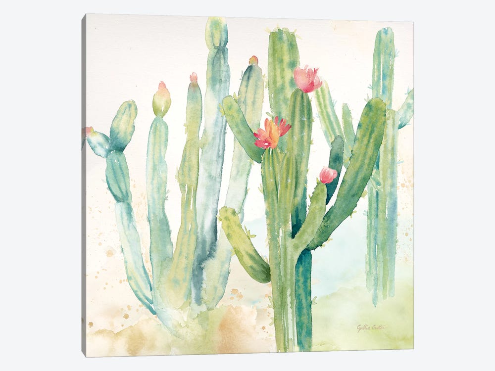 Cactus Garden II by Cynthia Coulter 1-piece Canvas Art Print