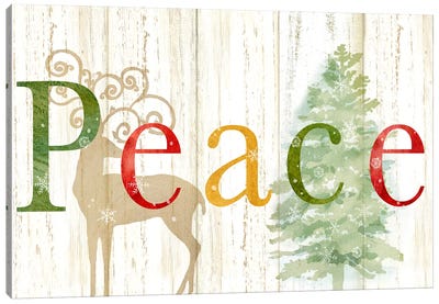 Peace Whitewash Wood Sign Canvas Art Print - Cynthia Coulter