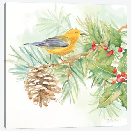 Winter Birds - Warbler Canvas Print #CYN145} by Cynthia Coulter Art Print