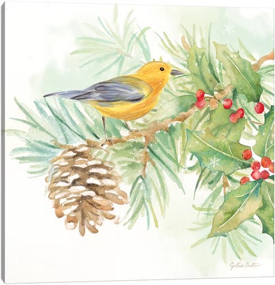 Winter Birds - Warbler Canvas Art Print - Warbler Art