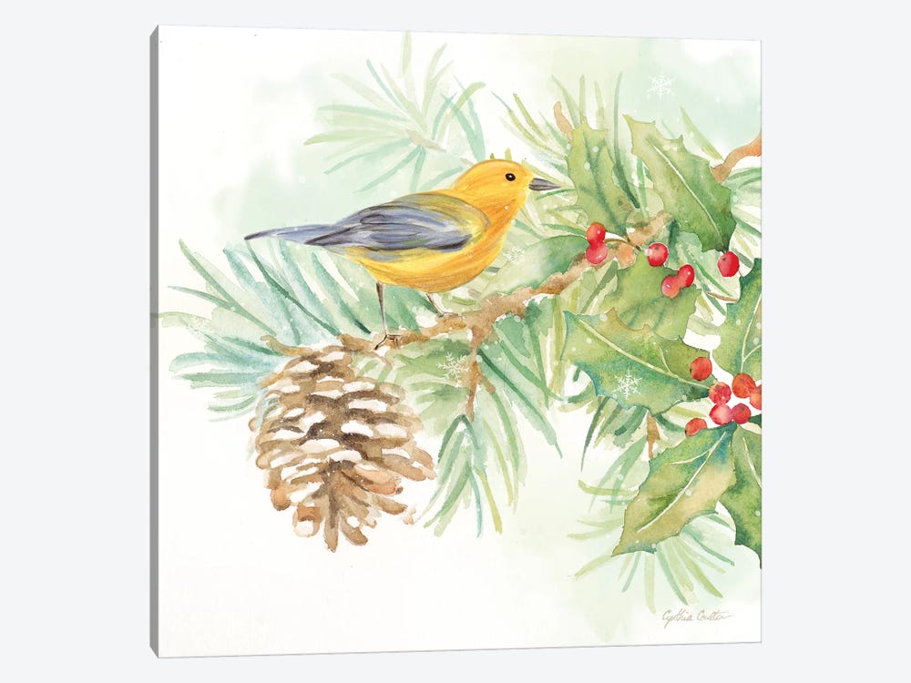 Winter Birds - Warbler by Cynthia Coulter 1-piece Canvas Artwork