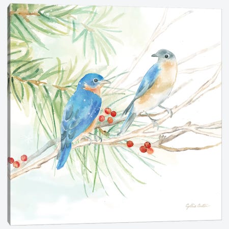 Winter Birds - Bluebirds Canvas Print #CYN147} by Cynthia Coulter Canvas Art Print