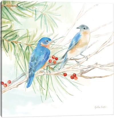 Winter Birds - Bluebirds Canvas Art Print - Cynthia Coulter