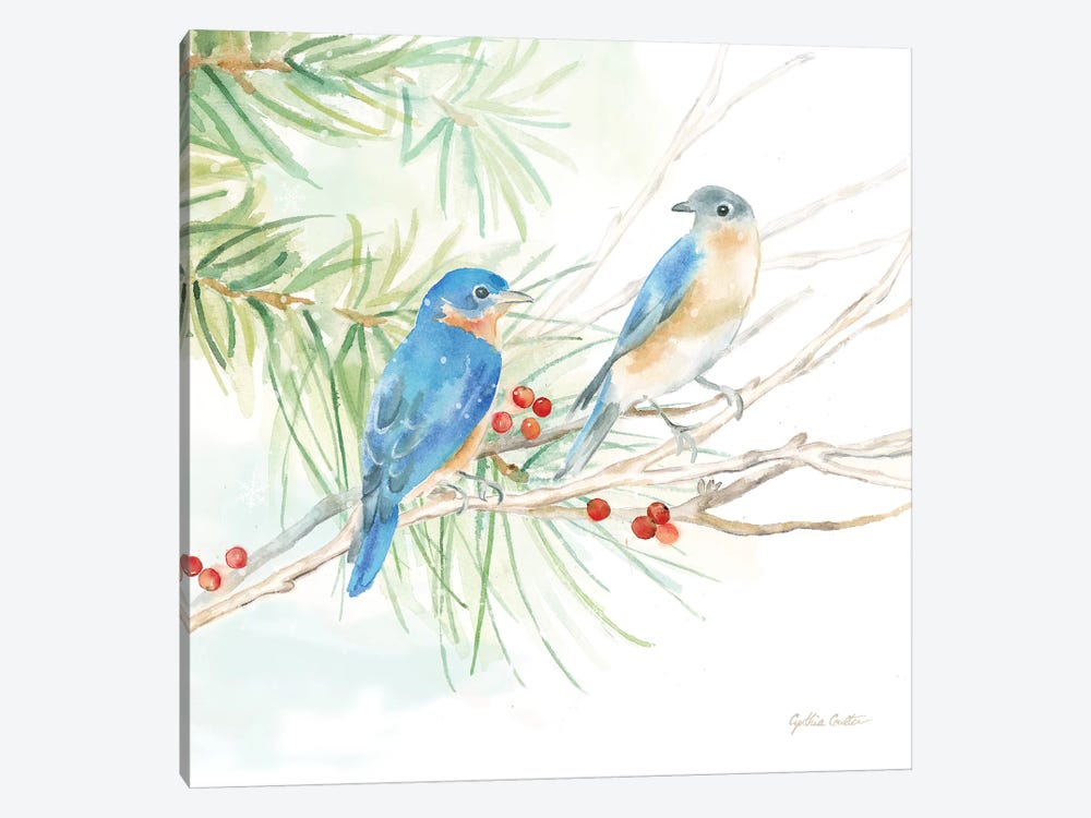 Winter Birds - Bluebirds by Cynthia Coulter 1-piece Canvas Art