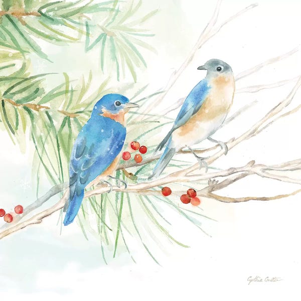 Roaring Brook Art: Winter Birds - Bluebirds by Cynthia Coulter