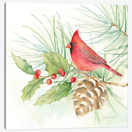 Winter Birds - Cardinal Canvas Print #CYN148} by Cynthia Coulter Canvas Art