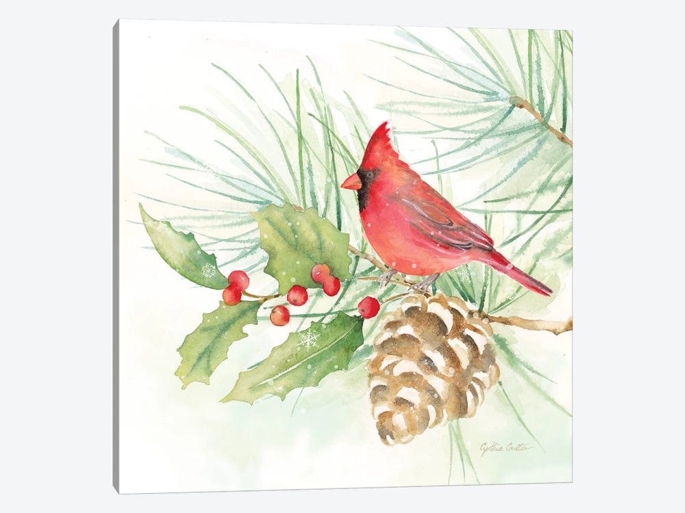 Winter Birds - Cardinal by Cynthia Coulter 1-piece Canvas Print