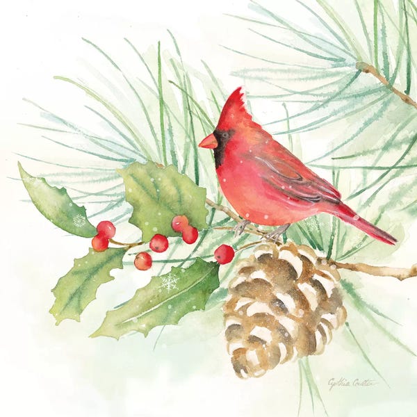 Roaring Brook Art: Winter Birds - Cardinal by Cynthia Coulter