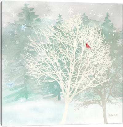 Winter Wonder II Canvas Art Print - Cardinal Art