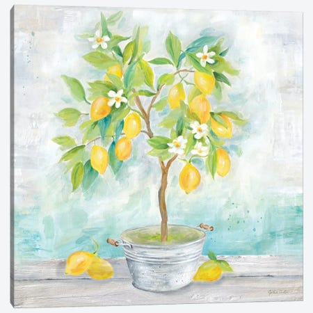 Country Lemon Tree Canvas Print #CYN153} by Cynthia Coulter Canvas Print