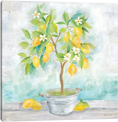 Country Lemon Tree Canvas Art Print - Cynthia Coulter