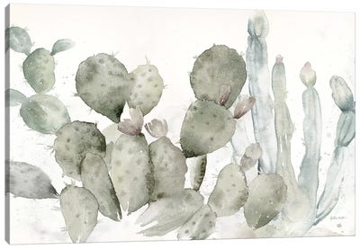 Cactus Garden Landscape Black & White Canvas Art Print - Cynthia Coulter