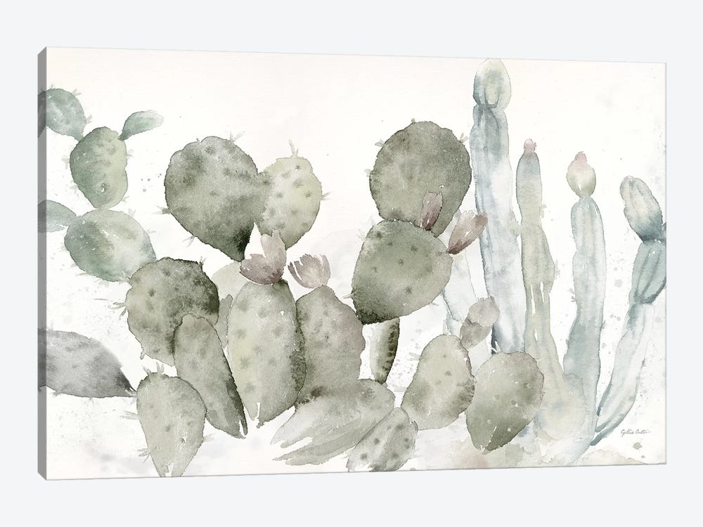 Cactus Garden Landscape Black & White by Cynthia Coulter 1-piece Canvas Print