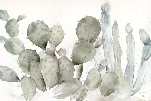 Cacti: Cactus Garden Landscape Black & White by Cynthia Coulter