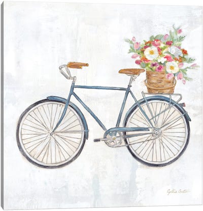 Vintage Bike With Flower Basket II Canvas Art Print - Bicycle Art