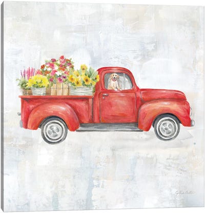 Vintage Red Truck Canvas Art Print - By Land