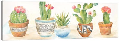 Cactus Pots I Canvas Art Print - Succulent Art
