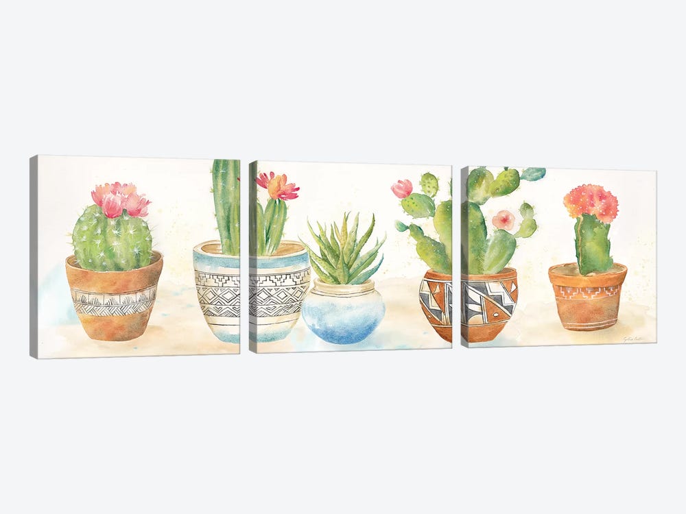 Cactus Pots I by Cynthia Coulter 3-piece Canvas Art