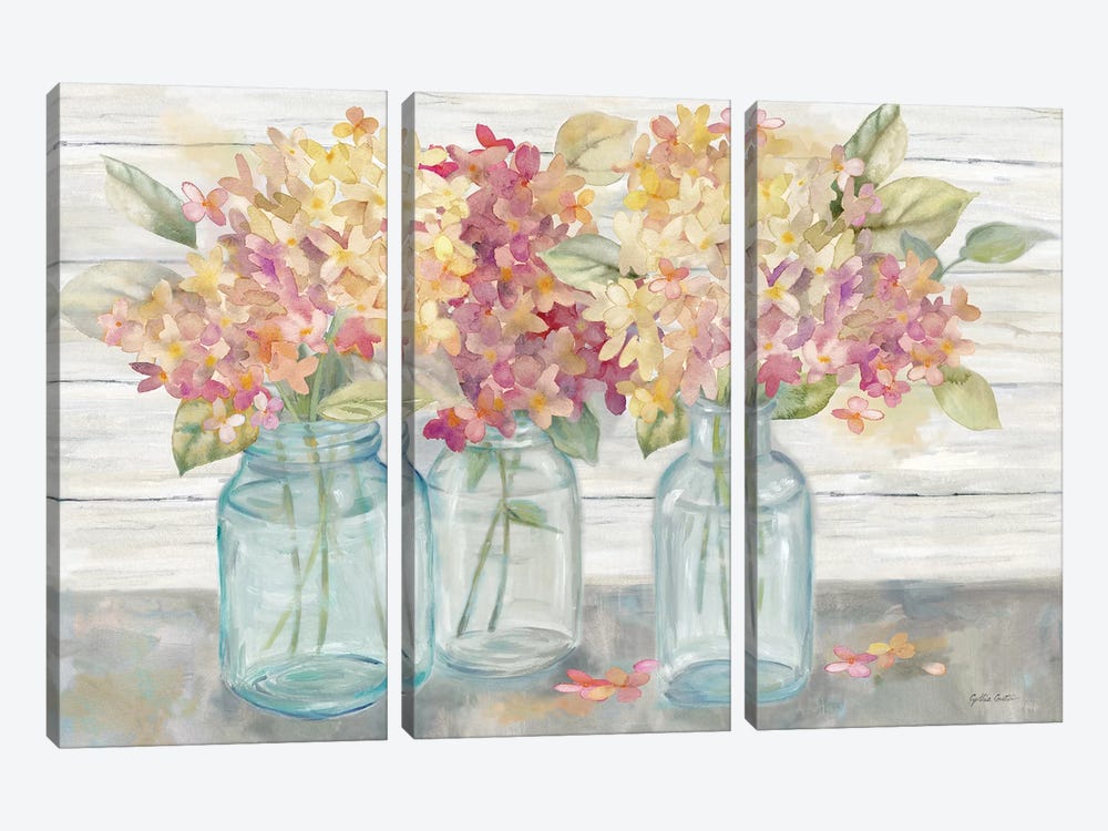 Farmhouse Hydrangeas in Mason Jars Spice by Cynthia Coulter 3-piece Canvas Wall Art